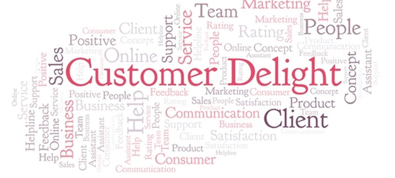 Customer delight strategy planning